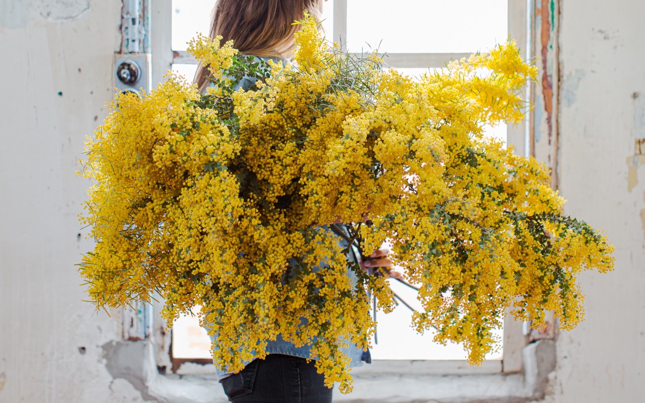luisa brimble IekEgyzD7n8 unsplash 2